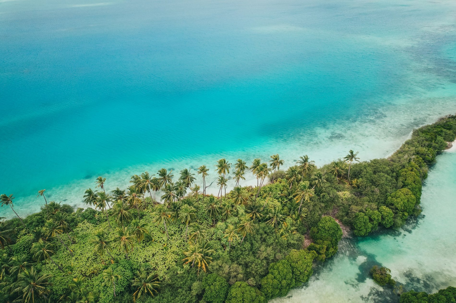 Paisagem de praia com mar azul e areia clara